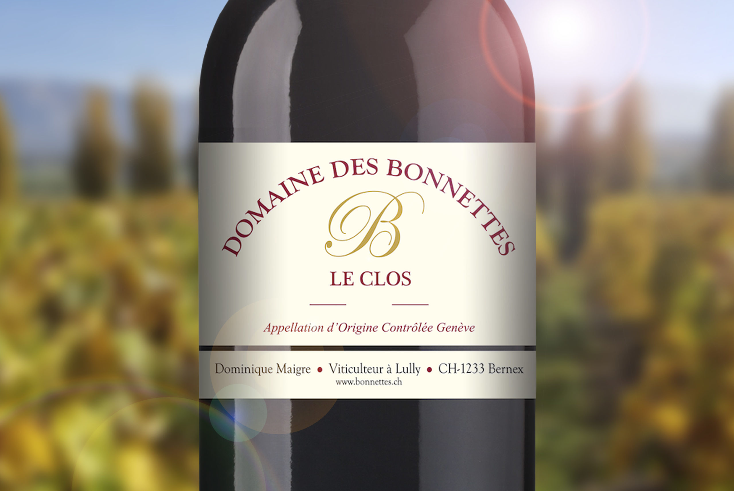 Boutique-En-Ligne-Gamay-Domaine-Bonnettes